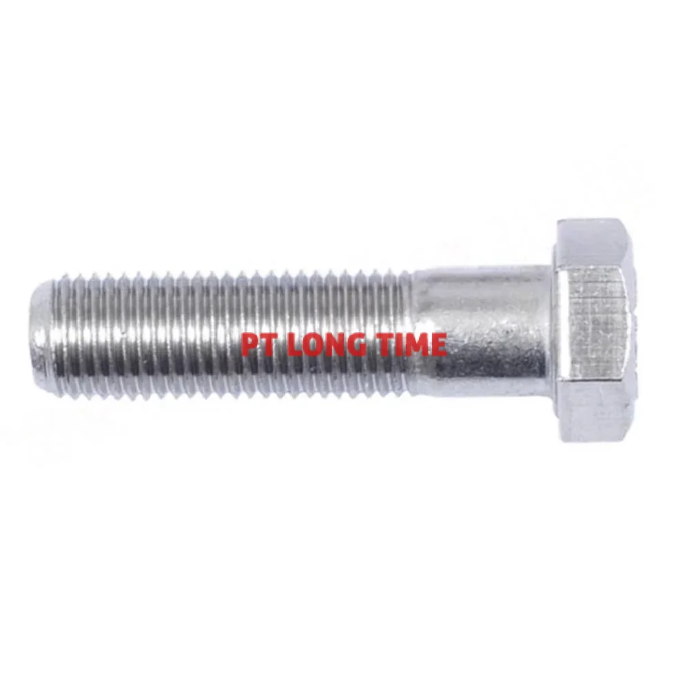 THE Stainless Steel Hex Bolt
