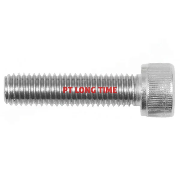 THE Stainless Steel Hexagonal Socket Cap Screw